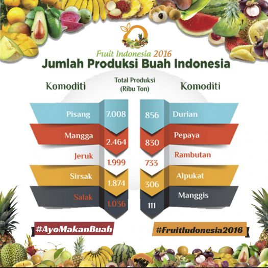 20161117 - NT Ayo makan buah produksi