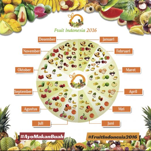 20161117 - NT Musim buah
